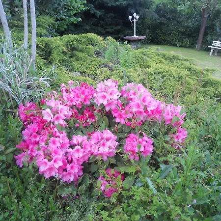 Bed & Breakfast La Cour Du Pressoir *